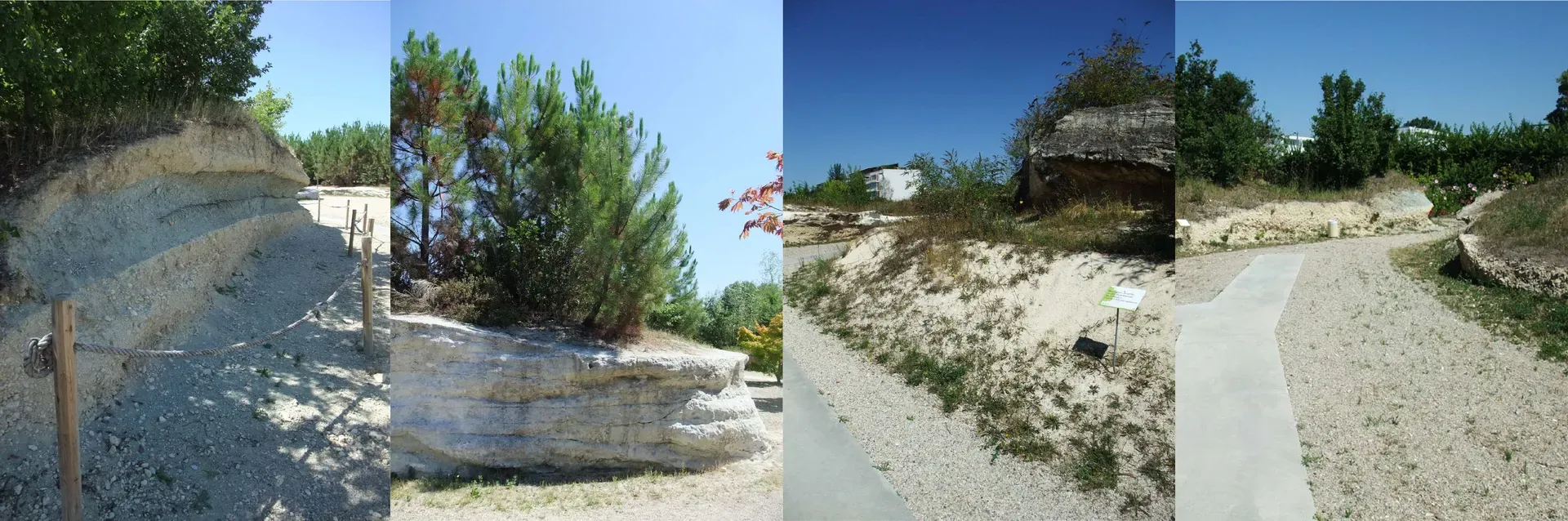 Photographs of eroded topographies in a designed landscape