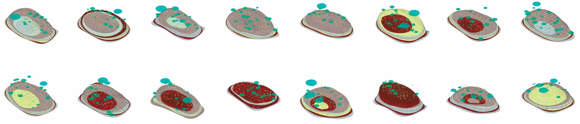 A sequence of isometric line drawings of different soil profiles