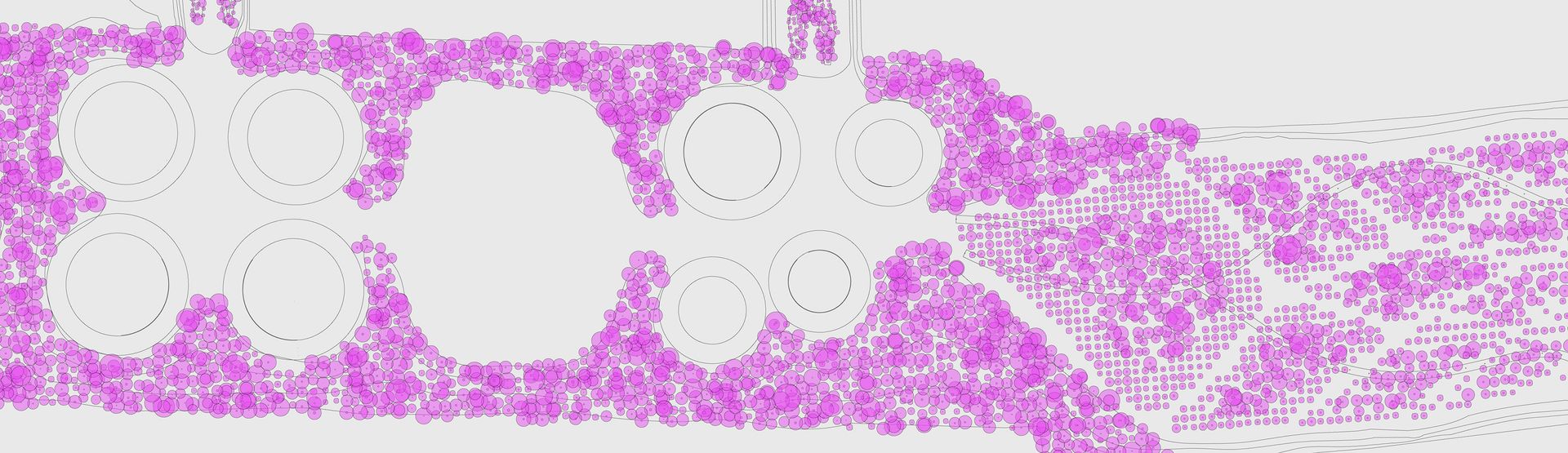 Time is a flat canopy radius. A brief study in introducing parametric approaches to planting design.