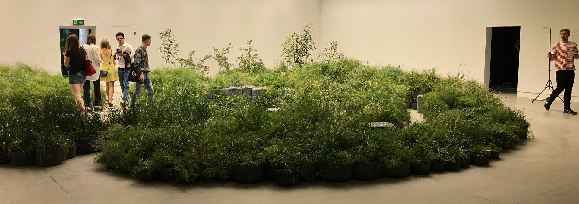 A room inside an art gallery with mounds of grassland plants and people navigating through them
