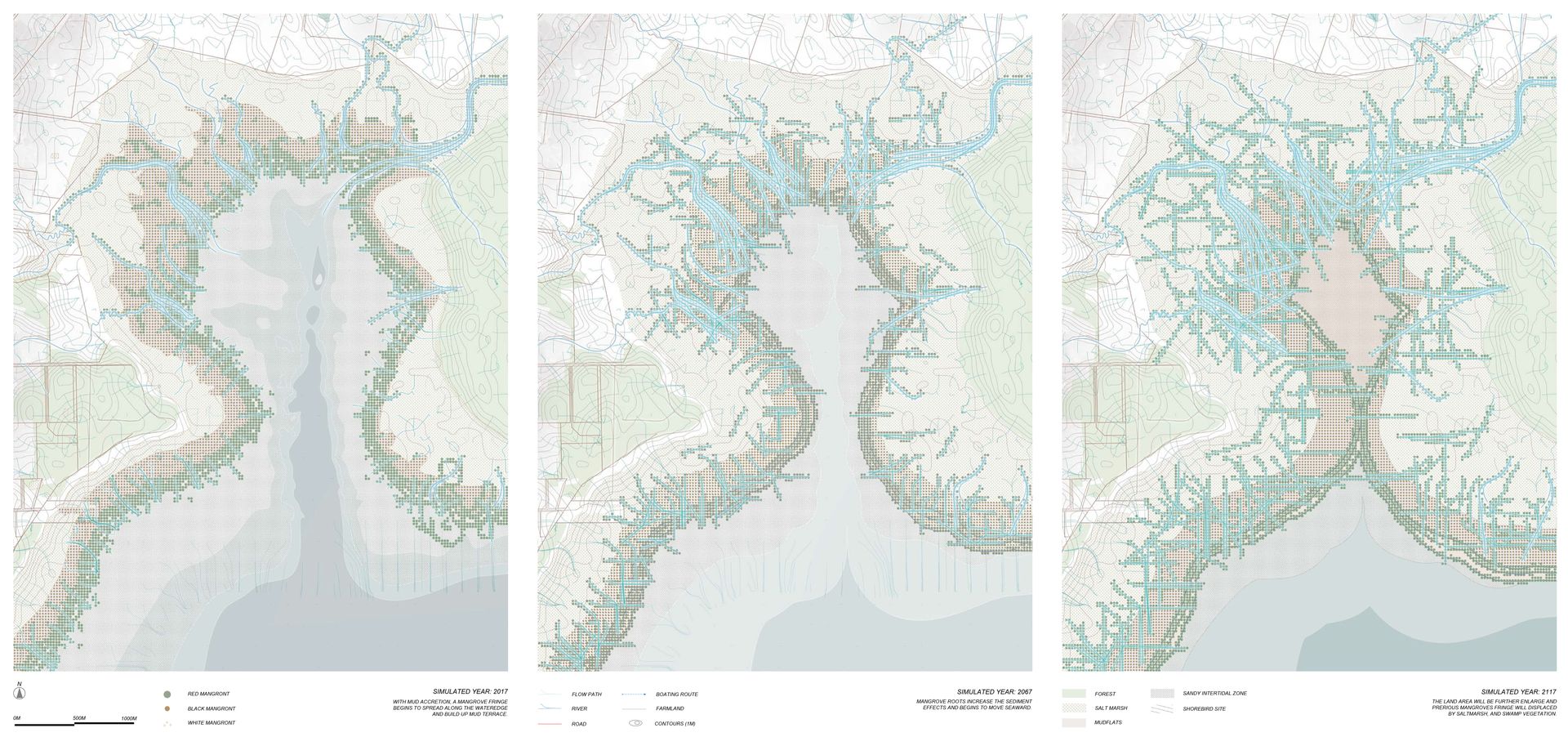 A trio of maps of a coastline, showing the spread of mangrove vegetation and the flows of water that enable it ^caption: The maps show how generalisable parametric techniques — in this case a method for simulating surface water flows and vegetation spread - can be used to model the evolving conditions of a mangrove wetland system. After developing this parametric model Sharon then used it to test design interventions using the parameters available for simulating different time periods and the effects of various interventions, such as upstream improvements to sediment flows and water quality or improved maintenance regimes that promote re-vegetation