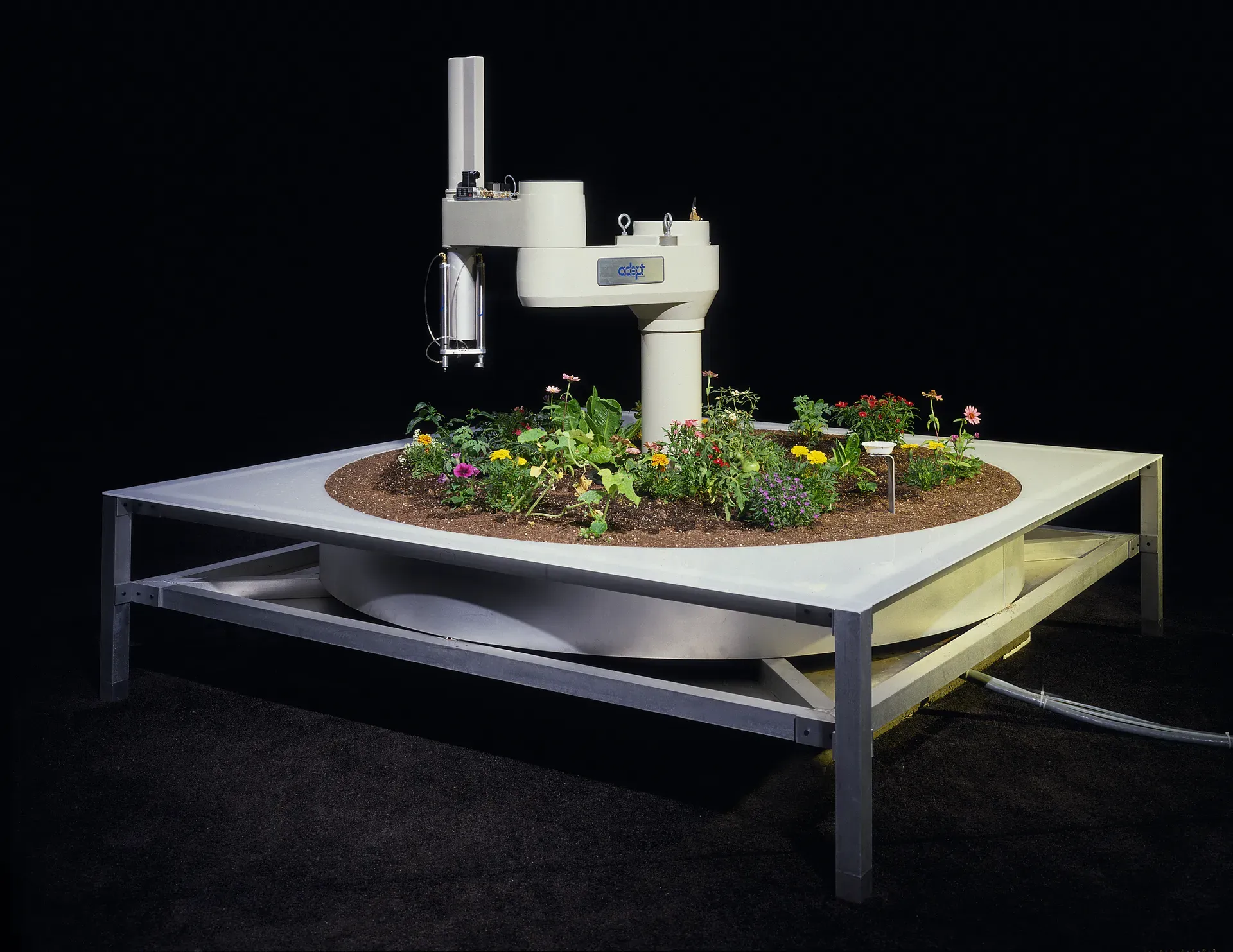 A robatic arm placed within a circle of soil and flowers